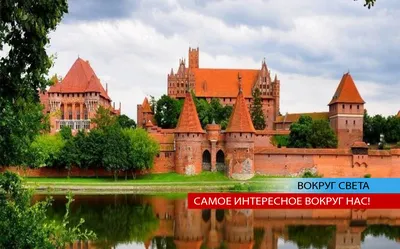 Конструктор ТЕХНОЛОГ Castlecraft Рыцарский замок купить по цене 2695 ₽ в  интернет-магазине Детский мир
