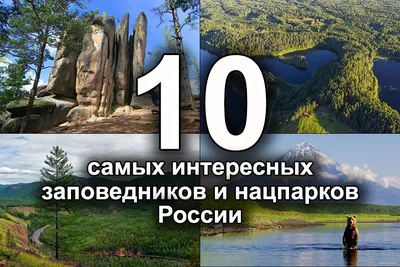 День заповедников и национальных парков России » Муниципальная новостная  лента