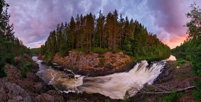 Ежегодно 11 января в России отмечается День заповедников и национальных  парков | Общество лесоводов