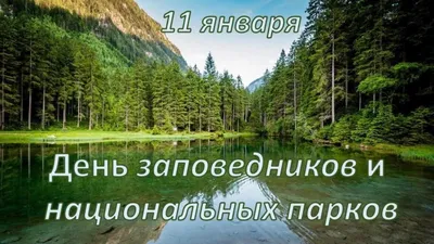 ТОП-15 известных национальных парков и заповедников России — Суточно.ру