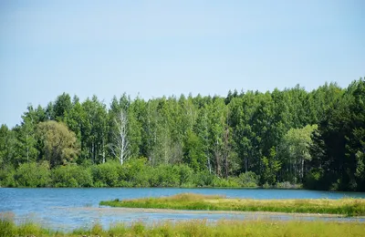 День заповедников и национальных парков в России