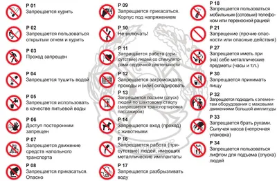 Запрещающие знаки в лесу