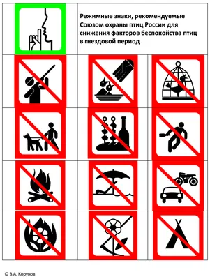 Запрещающий знак \"Разводить костры в лесной зоне запрещено!\"