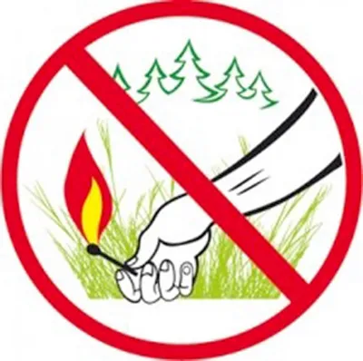 Запрещающие знаки в лесу | Купить в Алматы | Цены на Satu.kz
