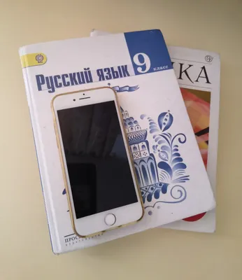 В школах России могут запретить использование мобильных телефонов даже в  образовательных целях | Новый День | Дзен
