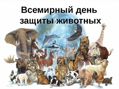 Мировой животный день защита животных мультфильм простой фон, Всемирный  день животных, Берегите животных, просто фон картинки и Фото для бесплатной  загрузки