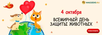 Фонд защиты городских животных - URBANANIMAL.RU 2024 | ВКонтакте