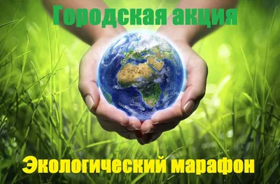 Защитим природу – значит защитим человека! - газета «Кафа» новости Феодосии  и Крыма