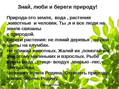 В Башкирии стартует экологическое движение «Защитим природу вместе!»