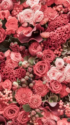 Заставка цветы | Flower background iphone, Flower iphone wallpaper, Pink  flowers wallpaper