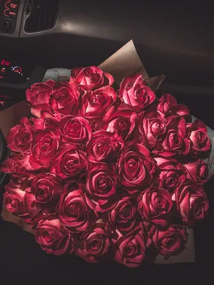 Красивые цветы, обои | Розы, Цветы, Обои