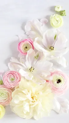 Красивые заставки цветов на телефон - 70 фото