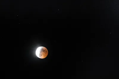 Лунное затмение луны крови секторов лунного затмения составное Стоковое  Фото - изображение насчитывающей созвездие, спутник: 196630366