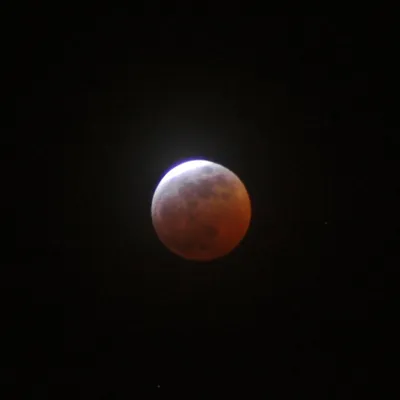 Кровавая луна» и полное затмение в разных точках Земли - Ведомости