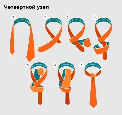 Как завязать галстук пошагово: фото, способы, узлы и простая инструкция