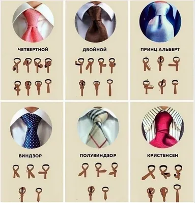 Как подобрать длину галстука, правильная длина галстука по этикету, какой  длины должен быть галстук, как подобрать галстук по росту