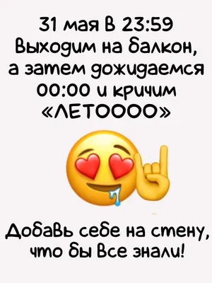 Фестиваль равных возможностей «Завтра лето!» в Новополье - Гатчинская правда