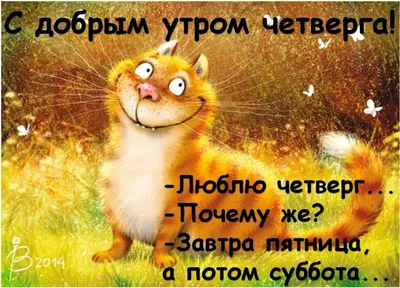 Если завтра пятница, то это значит, что скоро выходные 😀 ⠀ Придумали для  вас задание: скорее нажимайте лайк и узнайте своё! В комментариях … |  Instagram