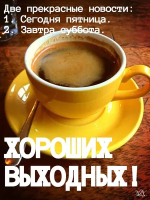 🎄Друзья, у нас две новости. 🆕 Завтра (суббота) филиал Сасао на  К.Маркса,47/2 работает последний день. .. | ВКонтакте