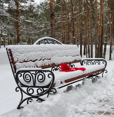 С последним днем зимы - самые новые открытки (60 ФОТО) | Открытки, Семейные  дни рождения, Зима