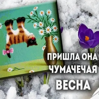 Доброе утро, с последним днем весны вас... А завтра уже  лето!!!🍒🌹🌺🌸🐝🐞💐💮🌼 | ВКонтакте
