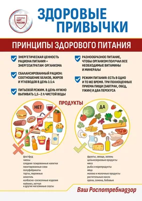 Здоровое питание – Новости – Отдел социальной защиты населения г. Звенигород