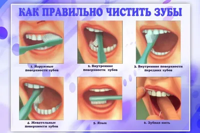 Образовательно-практическая акция «Здоровые зубы — залог здоровья» — ГАУЗ  ГКБ 2
