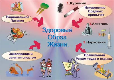 МАОУ \"СОШ №13 г. Челябинска\" - За здоровый образ жизни