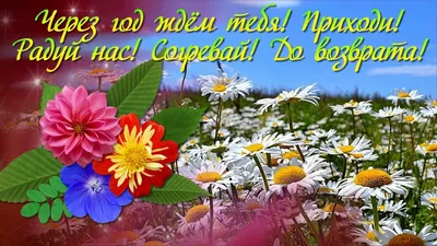 Прощай июль! Здравствуй август! | Поздравления, пожелания, открытки |  ВКонтакте