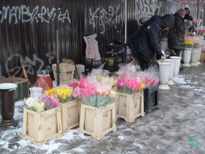 Билеты 19.03.2023 Сделано в СССР, Crocus City Hall, «Афиша Москва» март 2023