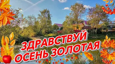 Плакат-растяжка \"Здравствуй, осень золотая\", 92х29 см — купить в  интернет-магазине по низкой цене на Яндекс Маркете