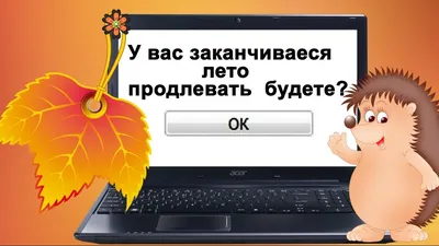 Здравствуй, Осень Золотая!» 2023, Кемерово — дата и место проведения,  программа мероприятия.