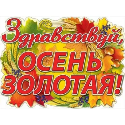 Праздник/Плакат вырубка. Здравствуй, Осень золотая!/0800879/ (10001641166)  — купить | Интернет-магазин manuskript-shop.ru