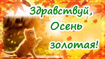 Здравствуй, осень золотая!» | 28.09.2022 | Междуреченск - БезФормата