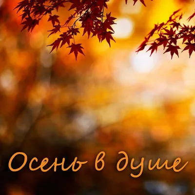 Здравствуй, осень!» | 13.11.2023 | Таштагол - БезФормата