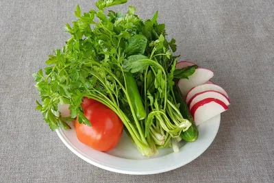 Свежая зелень – источник витаминов | Проект Роспотребнадзора «Здоровое  питание»
