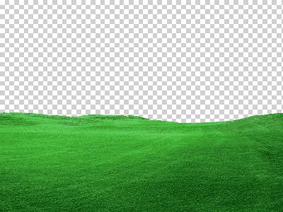 трава, зеленый, зеленая трава png | PNGEgg