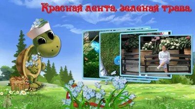 Фон рабочего стола где видно зеленая трава, горизонт, голубое небо,  природа, лето, красивые обои, Green grass, horizon, blue sky, nature,  summer, beautiful wallpaper