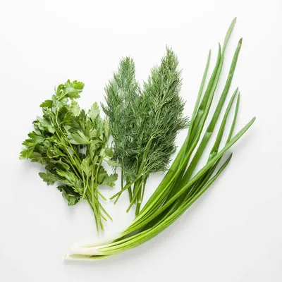 Виды зелени для еды с описанием и характеристикой: петрушка, укроп, лук,  базилик, шпинат, салат и другие разновидности | Салаты, Еда, Зелень