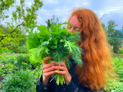 Ассорти из зелени, 70 г_РП с бесплатной доставкой на дом из «ВкусВилл» |  Санкт-Петербург