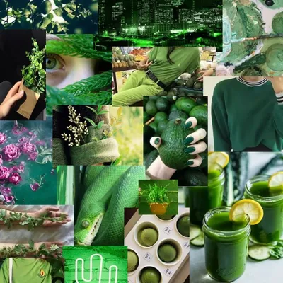 Обои зеленого цвета: стильные оттенки, актуальные принты, лучшие сочетания  и 45 фото в интерьере - Дом Mail.ru