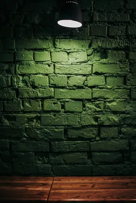 Green Wallpapers: Free HD Download [500+ HQ] | Unsplash
