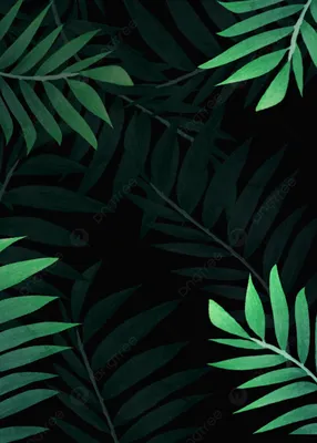 Простые зеленые листья обои Фон Обои Изображение для бесплатной загрузки -  Pngtree