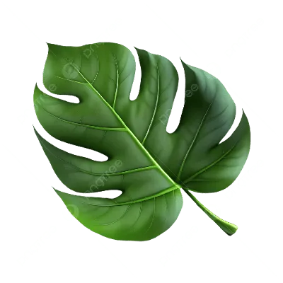 зеленые листья PNG , Зеленый вектор, Зеленые листья, весна PNG картинки и  пнг PSD рисунок для бесплатной загрузки