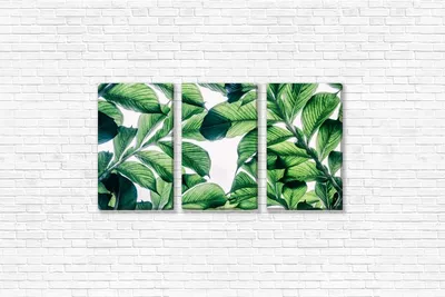 2 листа тропические зеленые листья наклейки на стену самоклеящиеся обои  Наклейка на стену для дома гостиной – лучшие товары в онлайн-магазине Джум  Гик