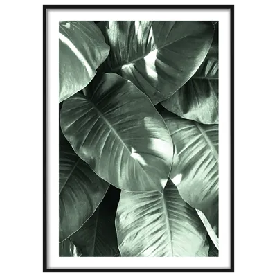 Скачать 3840x2400 листья, зеленый, кусты, резной, темный, растение обои,  картинки 4k ultra hd 16:10