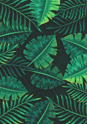 иллюстрация красивый зеленый лист PNG , милые листья, мультфильм зеленые  листья, красивые зеленые листья PNG картинки и пнг PSD рисунок для  бесплатной загрузки