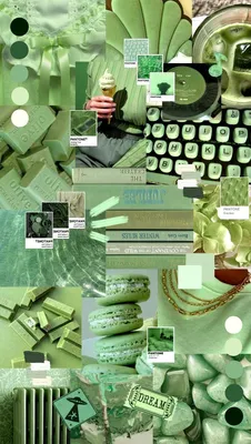 Скачать Зеленые обои на рабочий стол компьютера, Зеленые картинки на экран  ПК бесплатно | mob.org