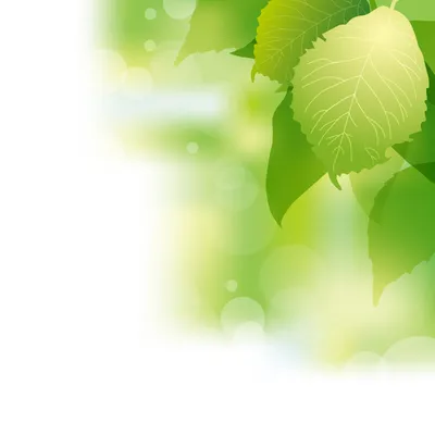 Зеленый весенний фон | Green spring background » Векторные клипарты,  текстурные фоны, бекграунды, AI, EPS, SVG