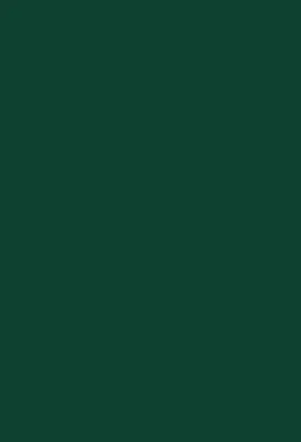 Atrovirens темно-зеленый фон для фотосъемки однотонный Чистый Простой фон  для игры потоковая съемка портретный баннер Zoom плакат | AliExpress